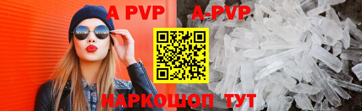 A PVP VHQ Гай