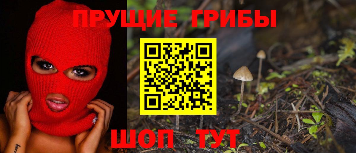 Гай  Псилоцибиновые грибы мицелий  Вход с VPN 