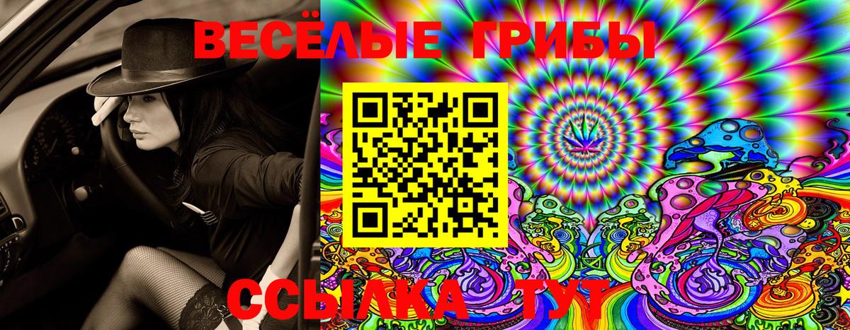 Галлюциногенные грибы Cubensis Гай