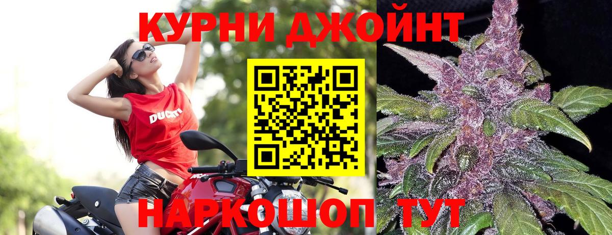 Марихуана Amnesia  Конопля планчик  Конопля гибрид  Вход с VPN  Гай 